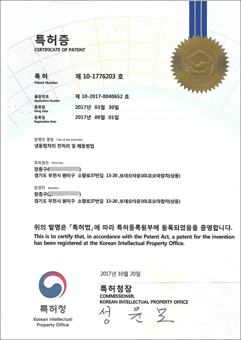 특허증 제10-1776203호